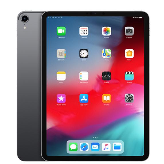 Apple iPad Pro 11" 1st Gen-512GB-Wi-Fi + 4G Unlocked-Space Grey-Acceptable